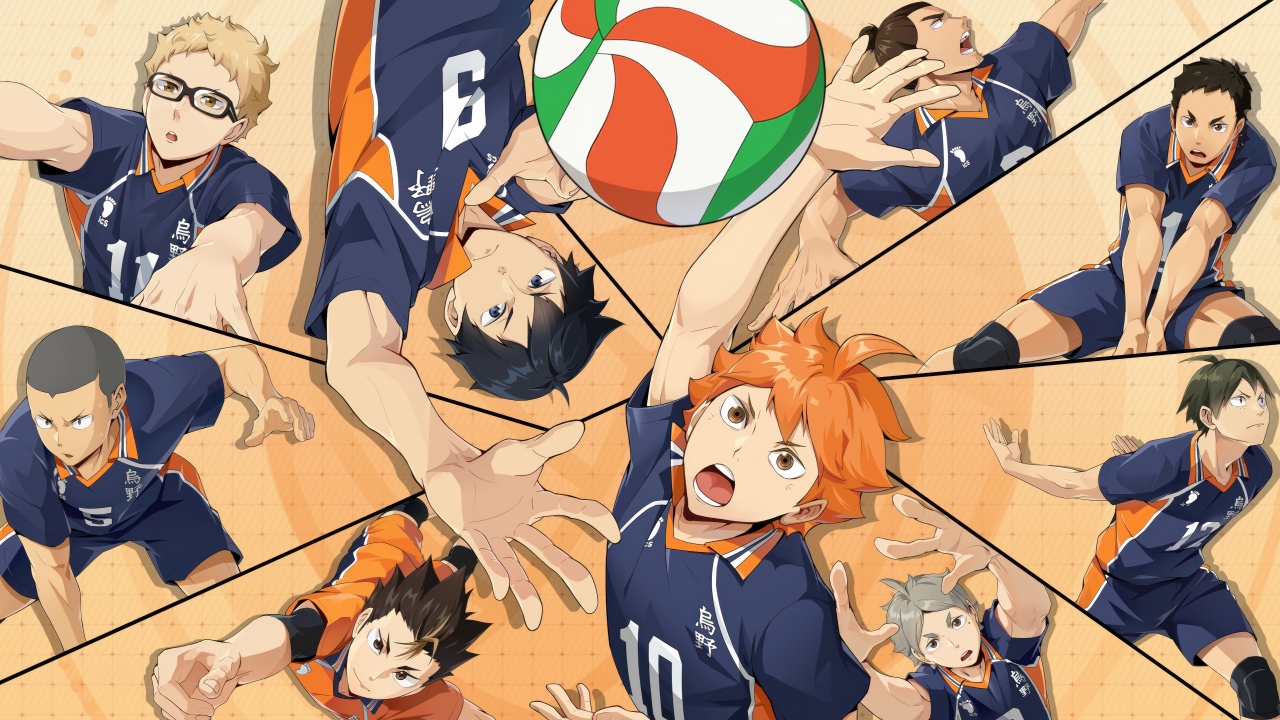 haikyuu fly high
