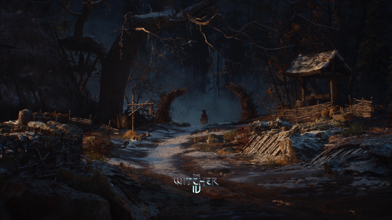the witcher iv