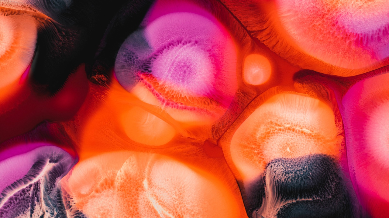 vibrant fluid art