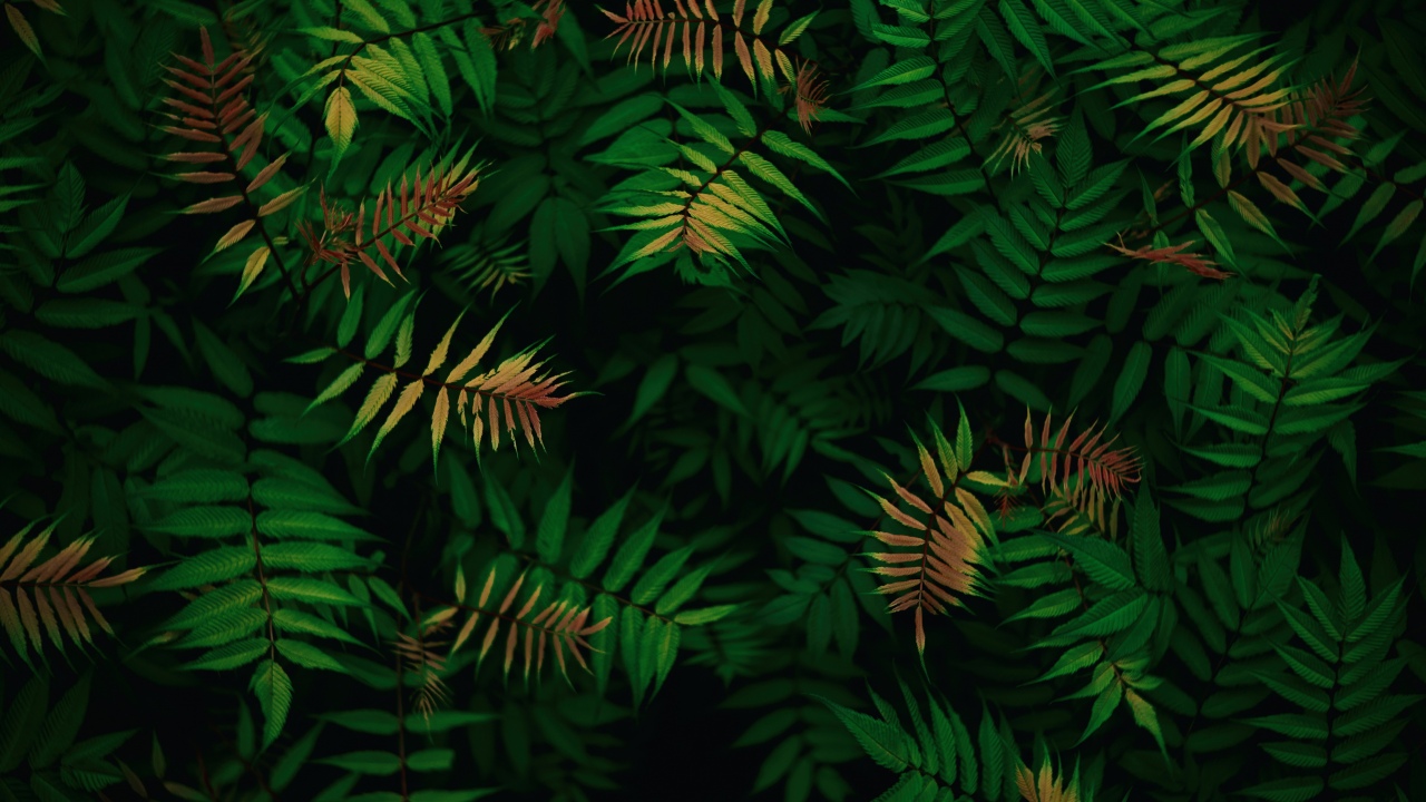 green leaves