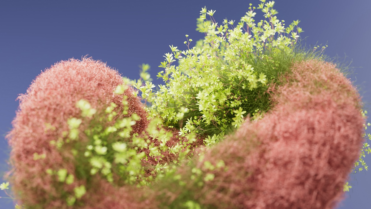 macro bloom floral