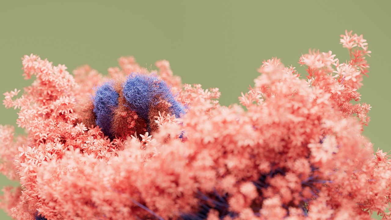 floral pink moss