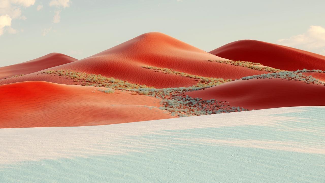 red dunes desert
