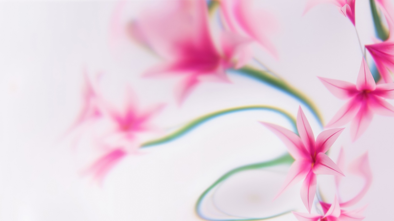 pink flowers dreams