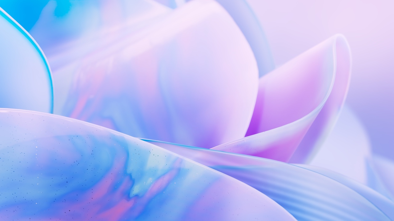translucent petals
