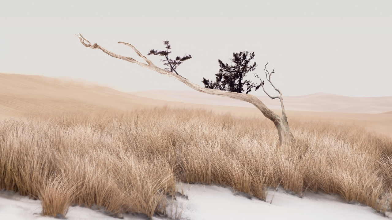 tranquil landscape