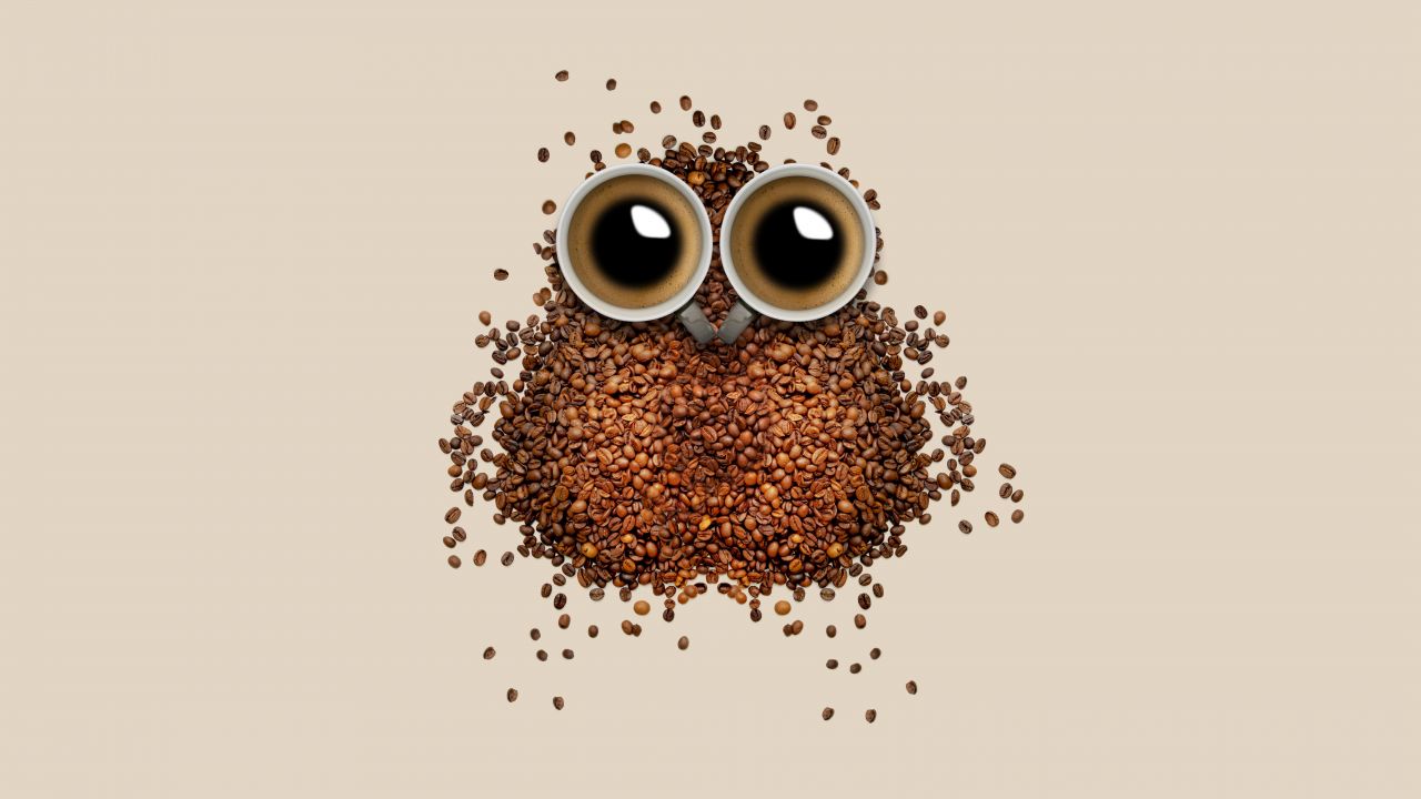 coffee beans owl coffee cup brown drinks caffeine beautiful