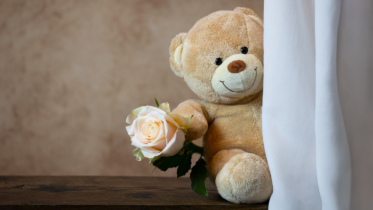 Teddy bear Wallpaper 4K, Rose, Cute toy, Gift, Valentine's Day, 5K