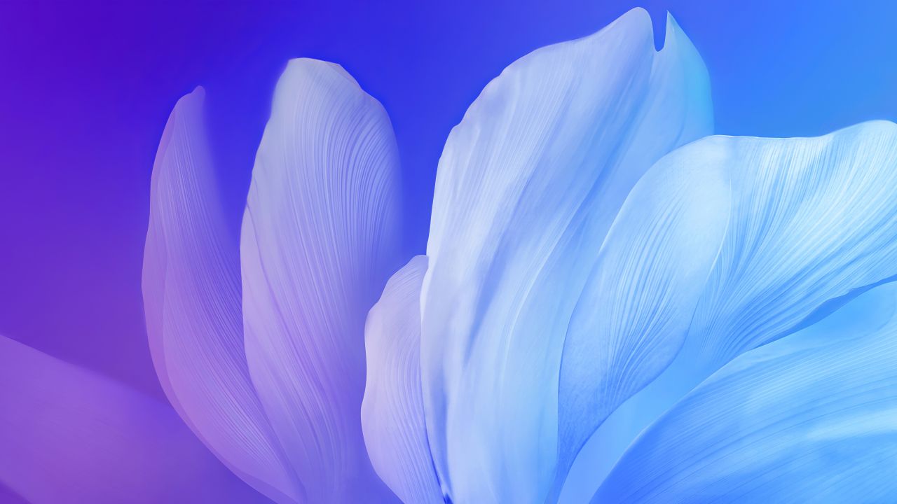 Blue flower Wallpaper 4K, Gradient background, Aesthetic