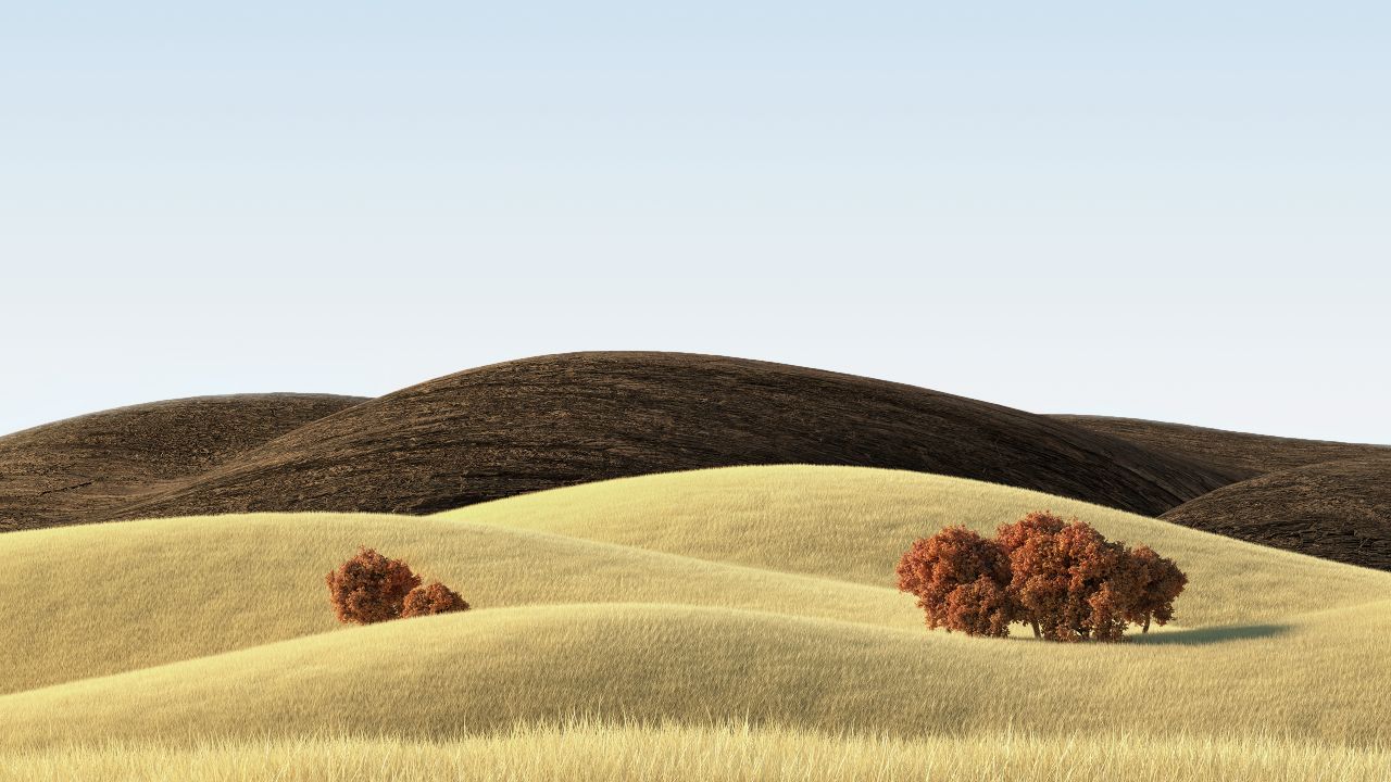 landscape countryside wheat field sunny day vivo pad stock