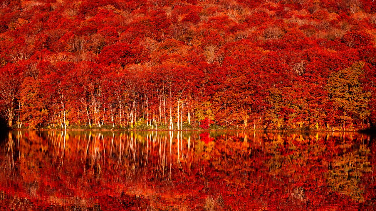 autumn colors tohoku autumn forest fall foliage lake