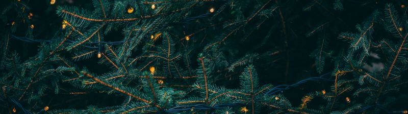 Pine trees, Decoration, LED lights, Christmas decoration, 5K, Aesthetic Christmas, Navidad, Noel