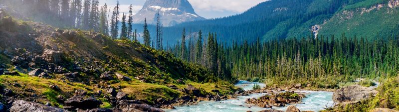 Yoho National Park, Rocky Mountains, British Columbia, Canada, Kicking Horse River