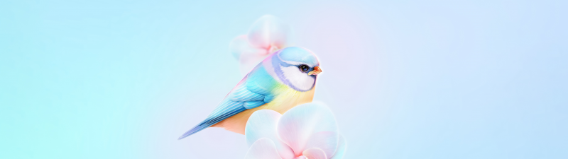 Eurasian blue tit, Cute bird, Orchid flowers, HarmonyOS, Stock, Pastel blue, Aesthetic Cyan