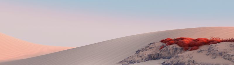 Landscape, Desert, Sand Dunes, Clear sky, Microsoft Surface, Stock