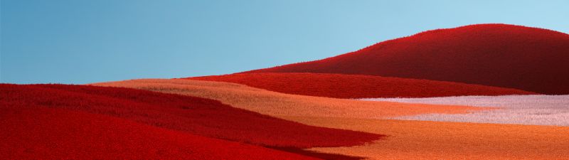 Red Grass, Landscape, Grass field, Clear sky, Blue Sky, Microsoft Surface Pro X, Stock