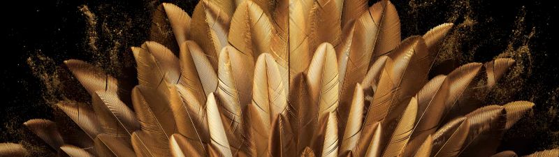 Golden, Peacock feathers, Vibrant, Golden yellow, Oppo Find N, Stock, Elegant, Pattern, Black background