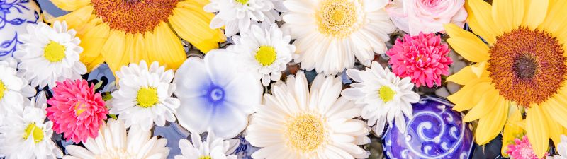 Colorful, Flower bouquet, Sunflower, Daisy flowers