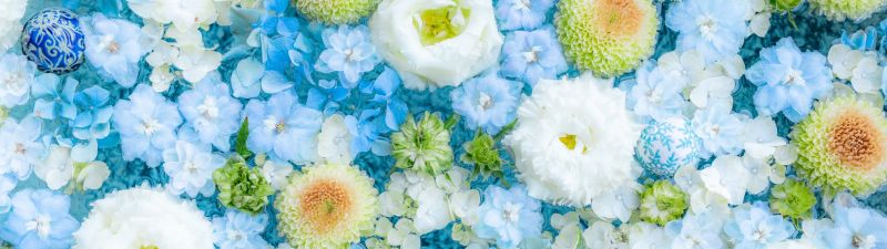 Blue flowers, Bouquet, Blue aesthetic