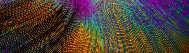 Peacock feather, Curved lines, Colorful, Particles