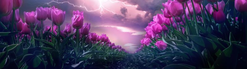 Pink flowers, Path, Thunderstorm, Dark Sky, 5K, Lightning