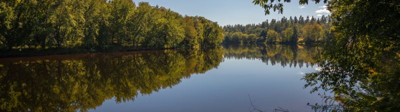 Androscoggin River, Trees, Reflection, Pleasant, Sunny day, 5K