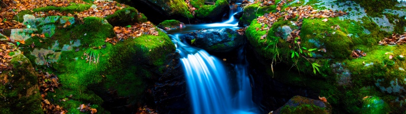 Mossy rocks, Green Moss, Autumn leaves, Forest, Water Stream, Long exposure, Serene, Flowing Water, Lush green field, Tranquility, 5K