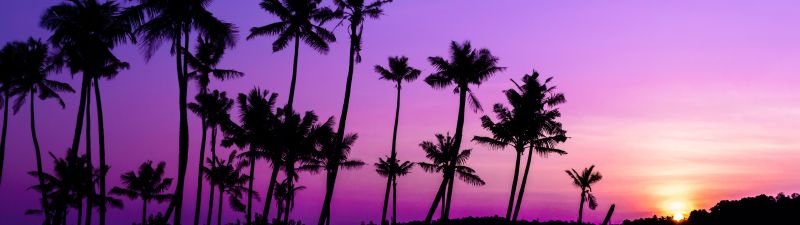 Purple Sunrise, Clear sky, Palm trees, Scenery, Backwaters, Sky view, 5K