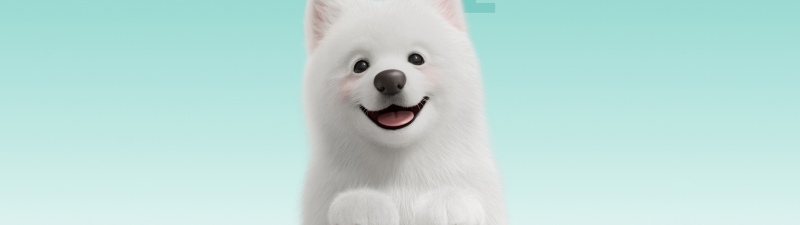 Samoyed, Cute dog, Puppy, 5K, Honor Magic V Flip 2, Stock