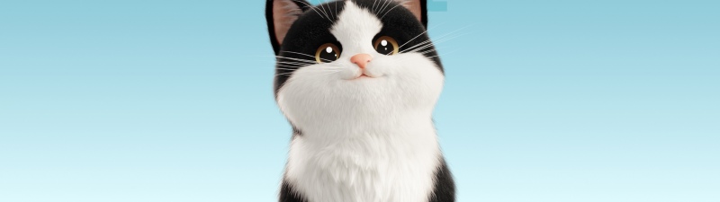 Cute Cat, Cartoon, Meme, Blue background, Blue gradient, 5K