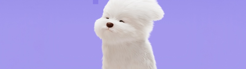 Maltese Dog, Cute cartoon, 5K, Honor Magic V Flip 2, Stock, Purple background, Cute puppy