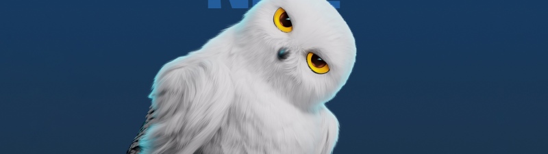 White Owl, Cute cartoon, 5K, Honor Magic V Flip 2, Stock, Blue background