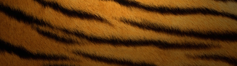 Tiger skin, Texture, OS X Tiger, Mac OS X, Stock, 5K