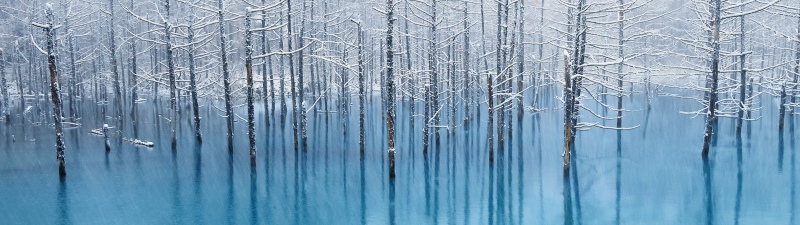 OS X Mountain Lion, Winter, Frozen trees, Reflection, Blue aesthetic, Snow covered, Stock, Mac OS X