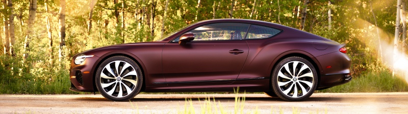 Bentley Continental GT, Luxury cars, 2025, 5K