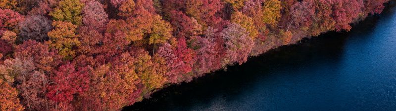 Colorful forest, Trees, Red, Yellow, Aerial view, Lake, River, Body of Water, Scenic