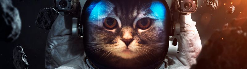 Space suit, Cat, Asteroids, Astronaut, Stars