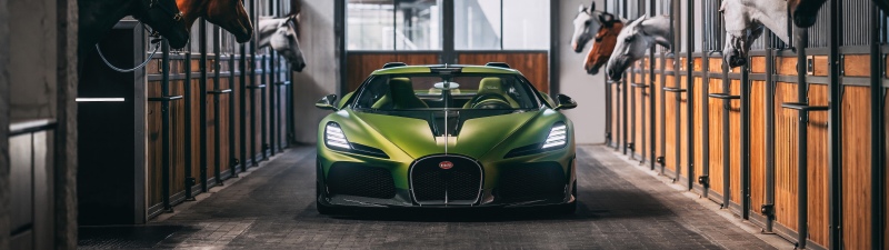 Bugatti Brouillard inspired by Ettore Bugatti's horse