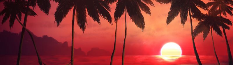 Sunset, Tropical, Trees, Silhouette, Dawn, Warm