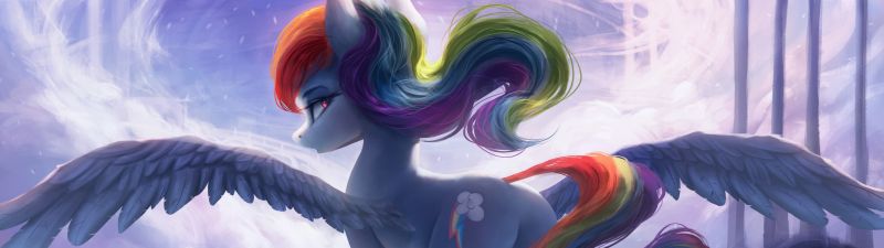 Rainbow Dash, Pegasus pony, My Little Pony Friendship is Magic