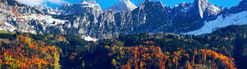 Autumn trees, Snow mountains, Blue Sky, Glacier, Landscape, Mountain range, Scenery, 5K