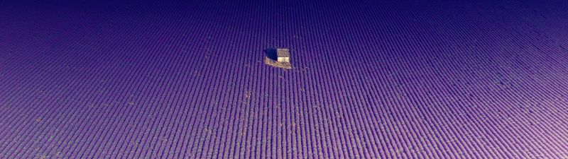 Lavender fields, Abandoned house, Aerial view, Drone photo, Valensole, France, Aesthetic