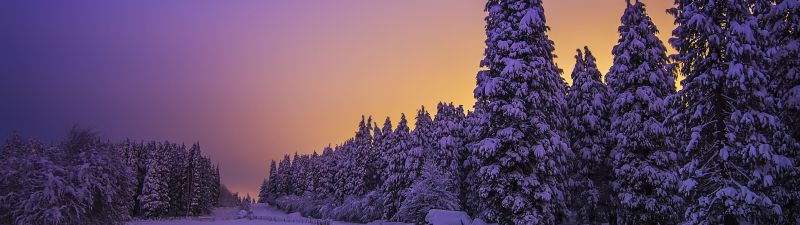 Landscape, Purple sky, Snow covered, Evening sky, Sunset, Winter, Trees, Scenery, Beautiful, 5K