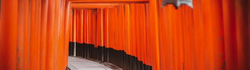 Shinto Shrine, Tokyo, Japanese culture, Torii Pass, Orange, Pattern, Pathway, Temple, Worship, 5K