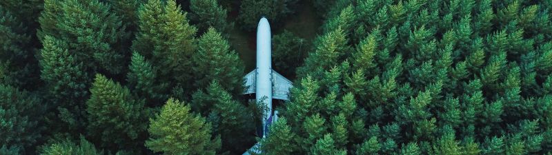 Airplane, Green Trees, Aerial view, Forest, Green background, Alpine trees