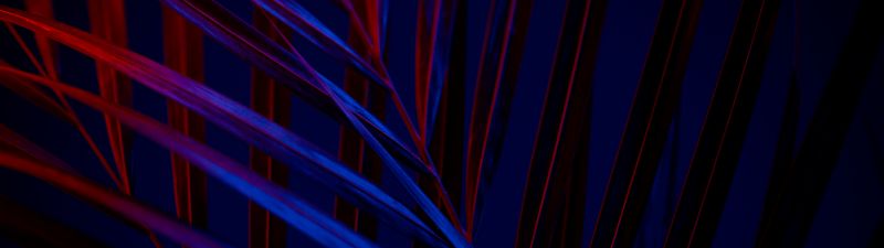 Plant, Dark background, Leaves, Blue, Red, AMOLED, 5K, Dark aesthetic