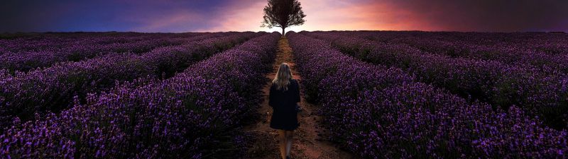 Sunset, Girl, Alone, Lavender farm, Lavender fields, Woman, Dawn, Evening, Horizon