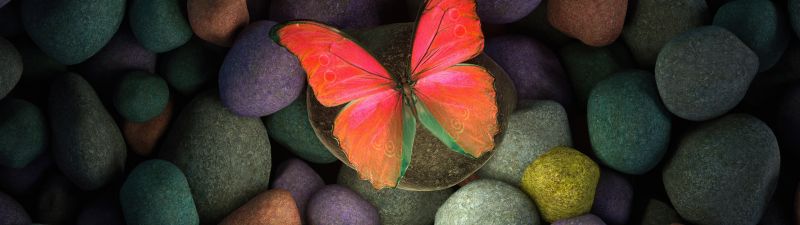 Butterfly, Stones, Colorful, Focus, Pebbles, Aesthetic, Glowing, Girly backgrounds