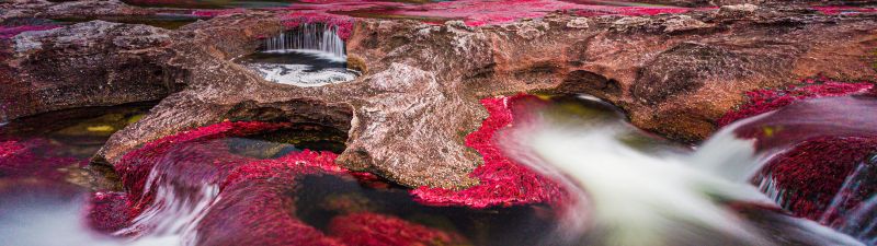 Caño Cristales, River, Serranía de la Macarena, Stream, Rocks, Colombia, 5K
