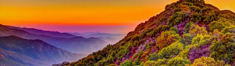 Sequoia National Park, California, United States, Green Trees, Colorful Sky, Purple, Daytime, Mountain range, Landscape, Countryside, Hill, Mountain Peak, Clear sky, 5K